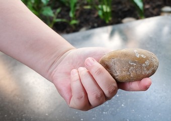 Hand Holding A Pieces of Pebble Rock