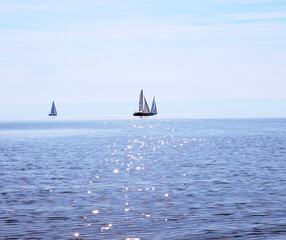 Naklejka premium Sailboats on Lake Constance on a calm sunny day