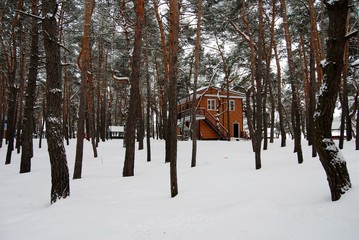 winter landscape