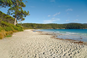 White Sandy Beach