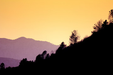 Mountains and Trees