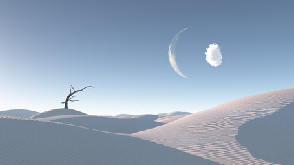Withered tree in Zen Inspired Desert Landscape