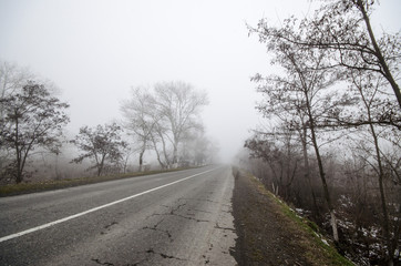 Winter landscape of trees silhouette growing near a road. And around, the surrounding fog. Road to Sheki, Azerbaijan