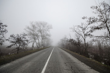 Winter landscape of trees silhouette growing near a road. And around, the surrounding fog. Road to Sheki, Azerbaijan