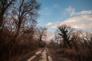 Beautiful landscape of country side road with trees in winter time at sunset. Azerbaijan, Caucasus, Sheki, Gakh, Zagatala