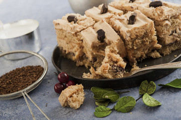 walnut cake with chocolate chips 
