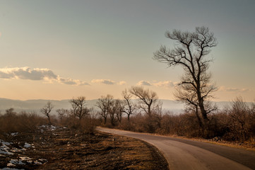 Beautiful landscape of country side road with trees in winter time at sunset. Azerbaijan, Caucasus, Sheki, Gakh, Zagatala