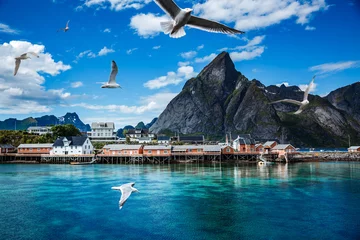 Papier Peint photo autocollant Reinefjorden Lofoten archipelago islands islands Norway