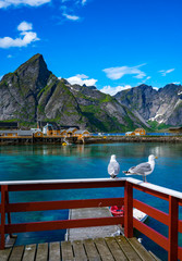 Lofoten archipelago islands islands Norway - obrazy, fototapety, plakaty