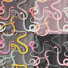 Four seamless patterns with colorful intertwined striped rain forest snakes