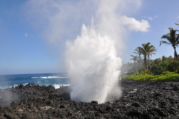 Fototapeta na wymiar Maui Valleys