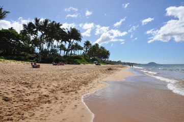 hawaiian beaches