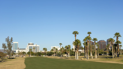 Green Golf Course Lawns in Phoenix Downtown, AZ
