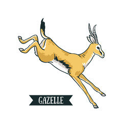 Antelope image. Digital painting full color cartoon style vector illustration isolated on white background. Hand drawn element design.