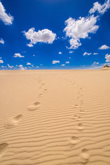 dunes de corralejo