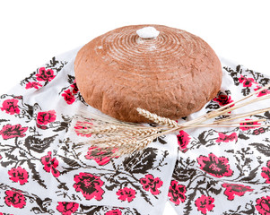 freshly baked bread isolated on white background, top view