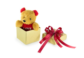 Teddy bear in the gift box