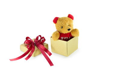 Teddy bear in the gift box