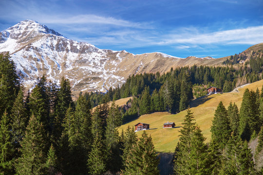 Beautiful mountain autumn landscape in the Alps with green pine trees and blue sky and snowcapped mountain tops in the background