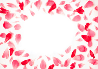 Frame from the petals of peony flowers