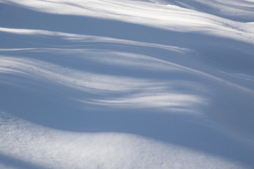 Fototapeta na wymiar Abstract wavy blue tree shadows on the snow