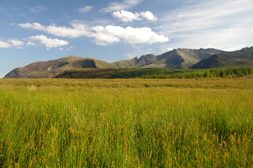 Fototapeta premium Mountains on the Isle of Arran (Scotland)