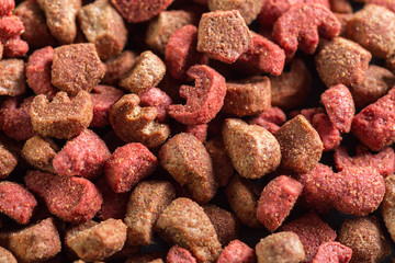 Dried dog food background