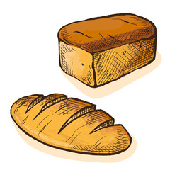 Watercolor Fresh Bread in graphic style