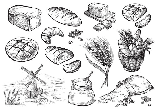 Bread vector hand drawn set illustration in graphic style
