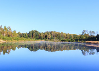 Reflection Lake Forest