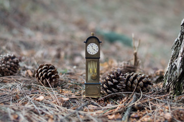 Model standing clock on the ground between pine cones