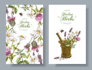 Vector herbal banners - 135940981