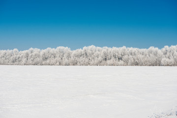 beautiful winter landscape