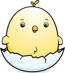 Cartoon Baby Chicken Egg