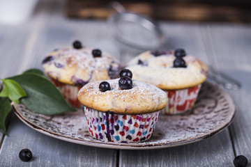 Blueberry muffins with powdered sugar