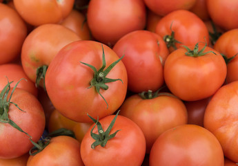 Fresh red healthy  tomatoes
