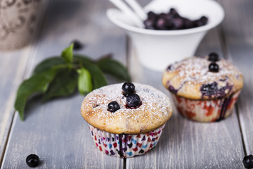 Blueberry muffins with powdered sugar