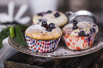 Blueberry muffins with powdered sugar