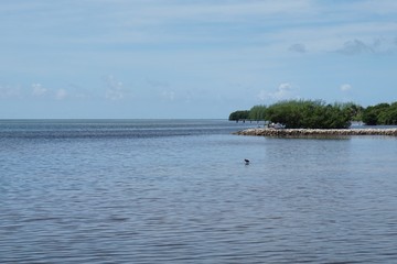 Küste auf den Florida Keys
