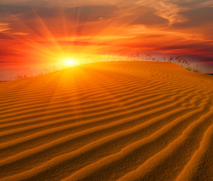 sunsert in desert