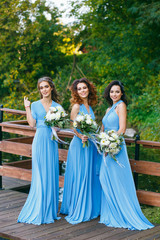 Fototapeta premium Bridesmaids in park