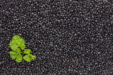 Food and cookery background of healthy dried  black lentils.