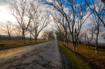 Beautiful landscape of country side road with trees in winter time at sunset. Azerbaijan, Caucasus, Sheki, Gakh, Zagatala