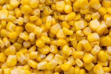 Bulk of yellow corn grains texture.