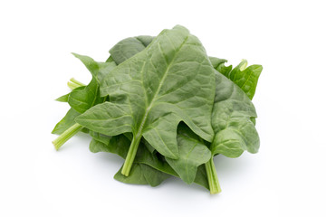 Fresh leaves of spinach on the white background.