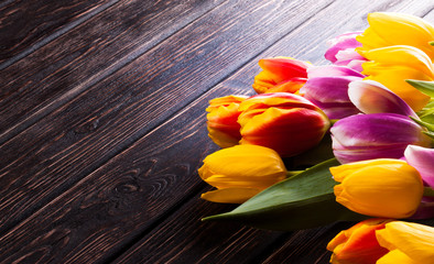 Colored fresh tulip on wood desk
