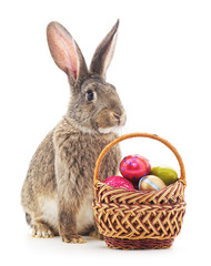 Easter basket and bunny.
