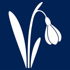 Snowdrop icon - vector Illustration