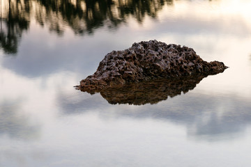 Rock with Reflection at Long Pine Key Lake after Sun Rise, Everglades National Park, Florida.Everglades National Park is a U.S. National Park in Florida that protects the original Everglades