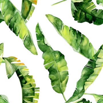 Seamless watercolor illustration of tropical leaves, dense jungle. Pattern with tropic summertime motif may be used as background texture, wrapping paper, textile,wallpaper design. Banana palm leaves.